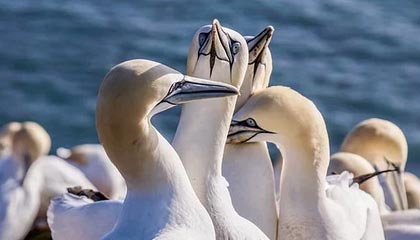 hth-安踏成为希腊奥委会战略合作伙伴